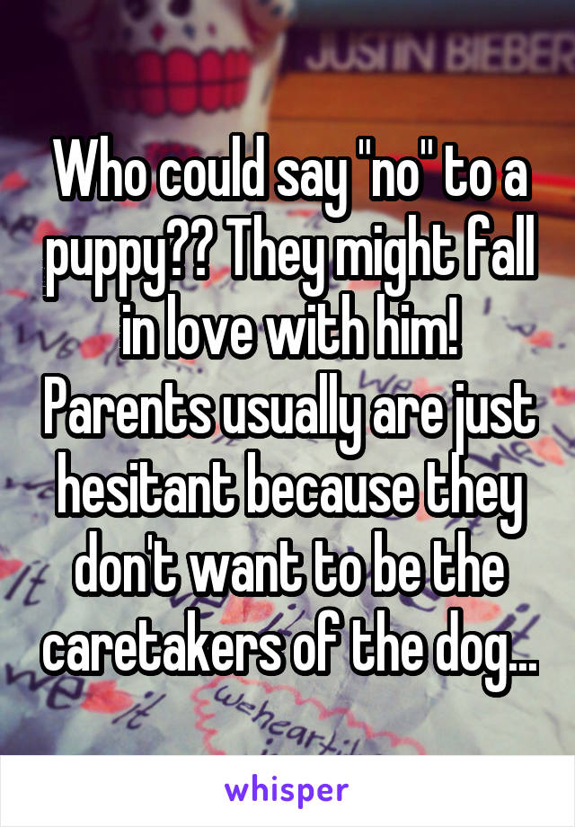 Who could say "no" to a puppy?? They might fall in love with him! Parents usually are just hesitant because they don't want to be the caretakers of the dog...