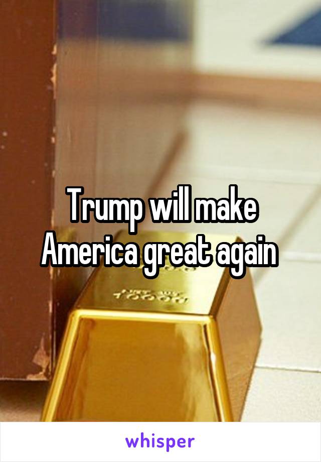 Trump will make America great again 