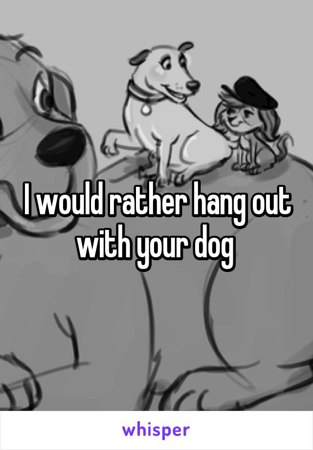 I would rather hang out with your dog 