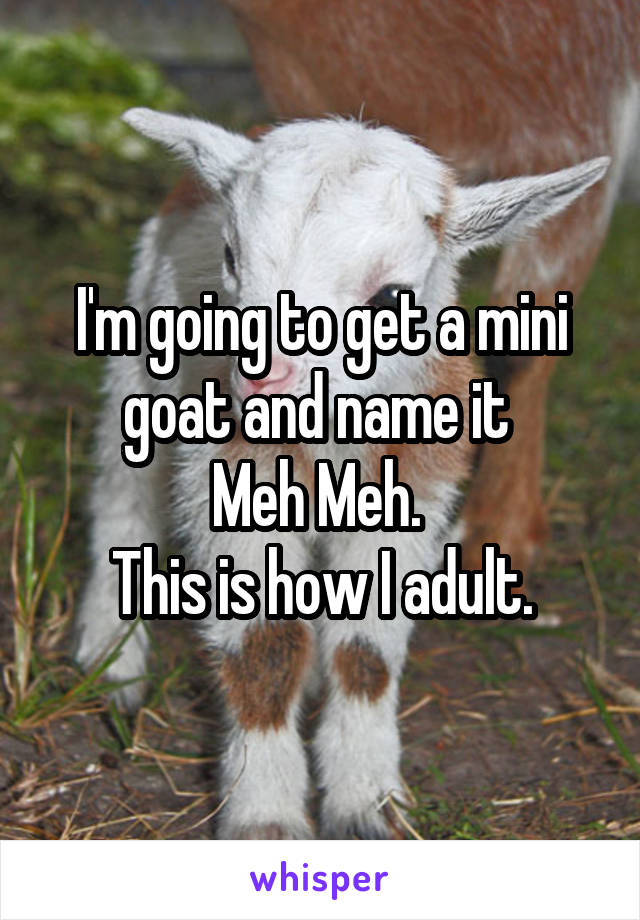 I'm going to get a mini goat and name it 
Meh Meh. 
This is how I adult.