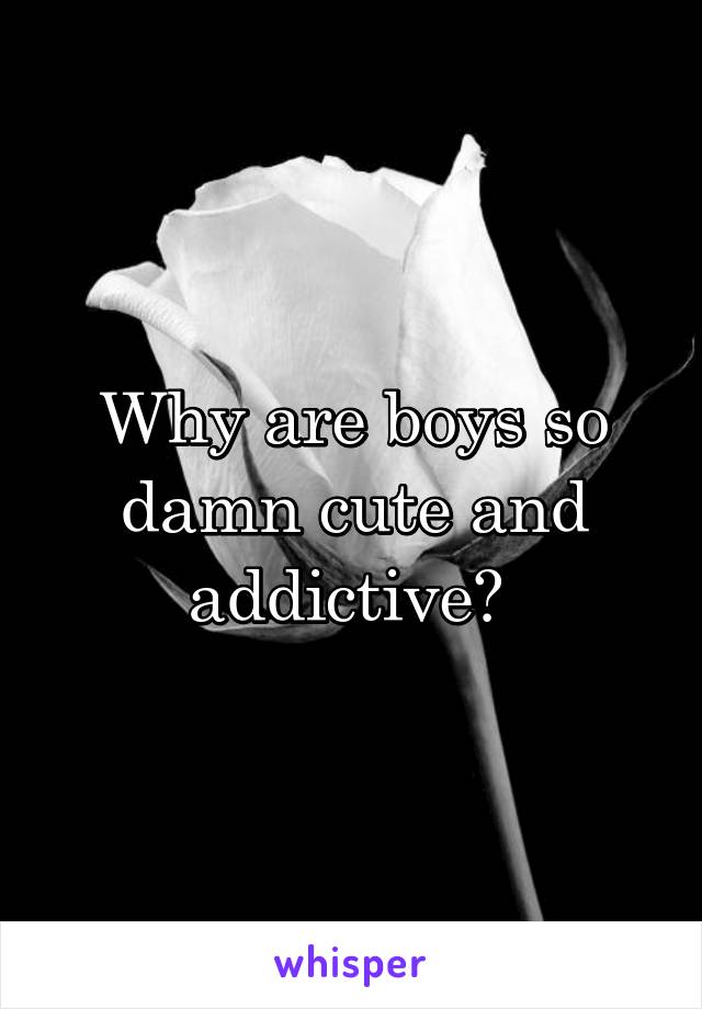 Why are boys so damn cute and addictive? 