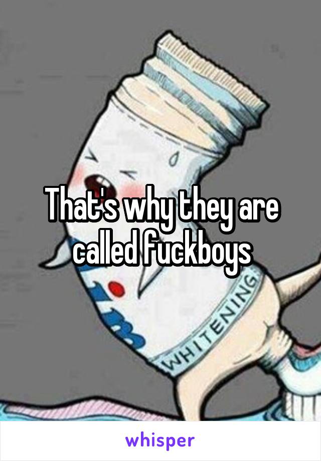 That's why they are called fuckboys