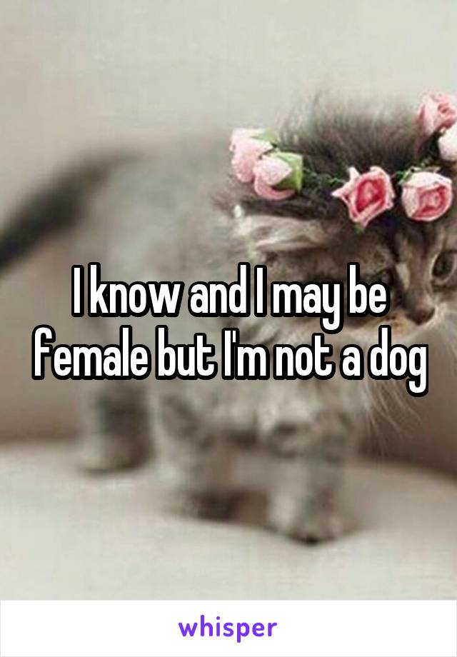 I know and I may be female but I'm not a dog