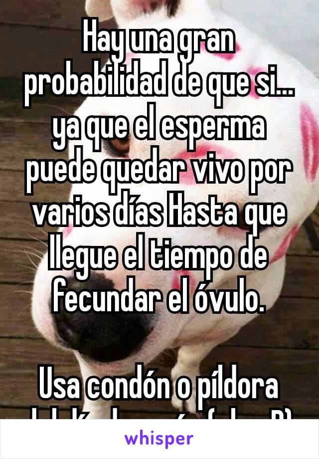 Hay una gran probabilidad de que si... ya que el esperma puede quedar vivo por varios días Hasta que llegue el tiempo de fecundar el óvulo.

Usa condón o píldora del día después (plan B)