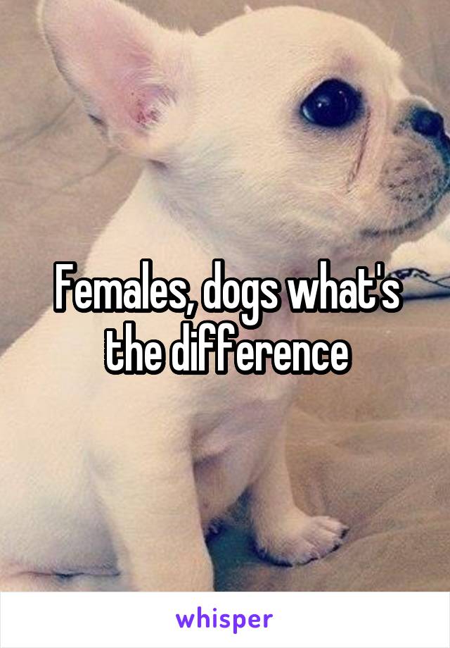 Females, dogs what's the difference