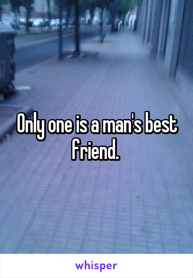 Only one is a man's best friend. 