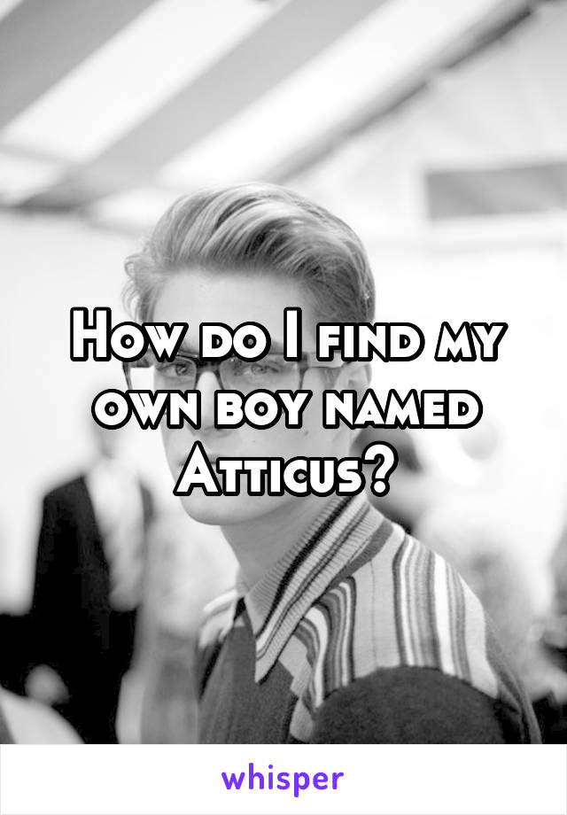 How do I find my own boy named Atticus?