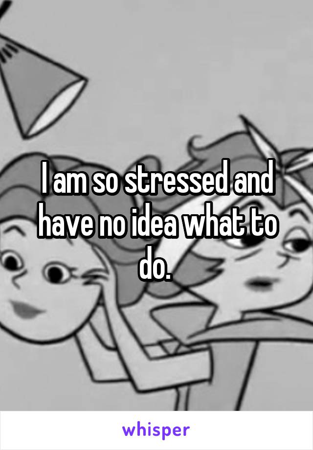 I am so stressed and have no idea what to do. 