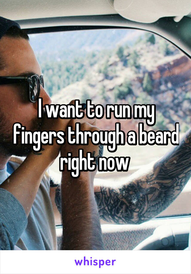 I want to run my fingers through a beard right now 