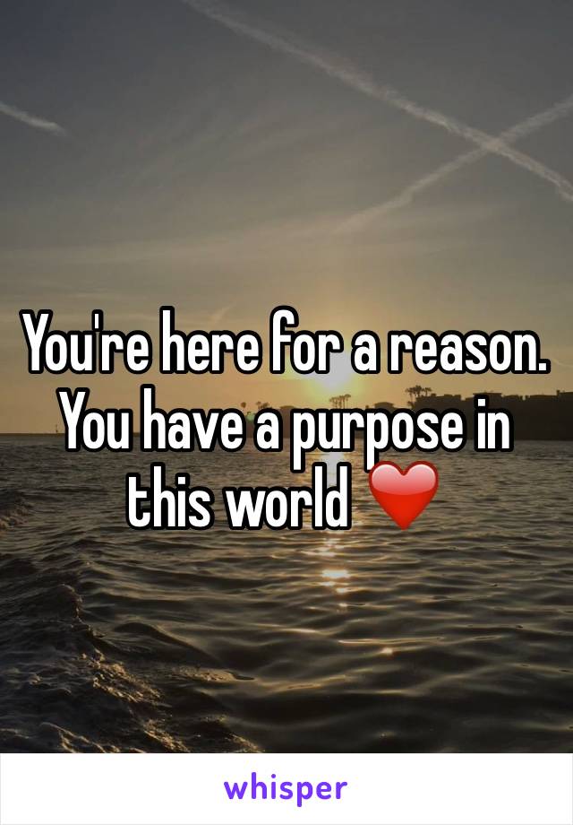 You're here for a reason. You have a purpose in this world ❤️