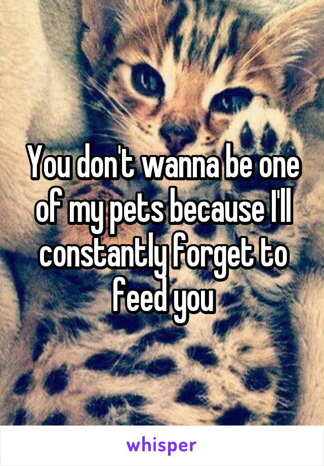 You don't wanna be one of my pets because I'll constantly forget to feed you