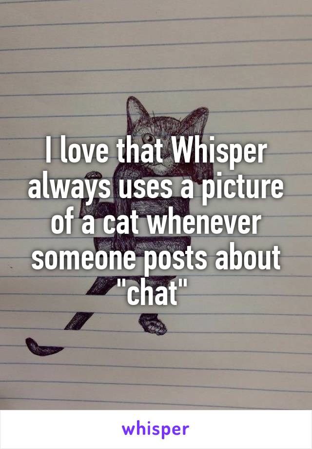 I love that Whisper always uses a picture of a cat whenever someone posts about "chat" 