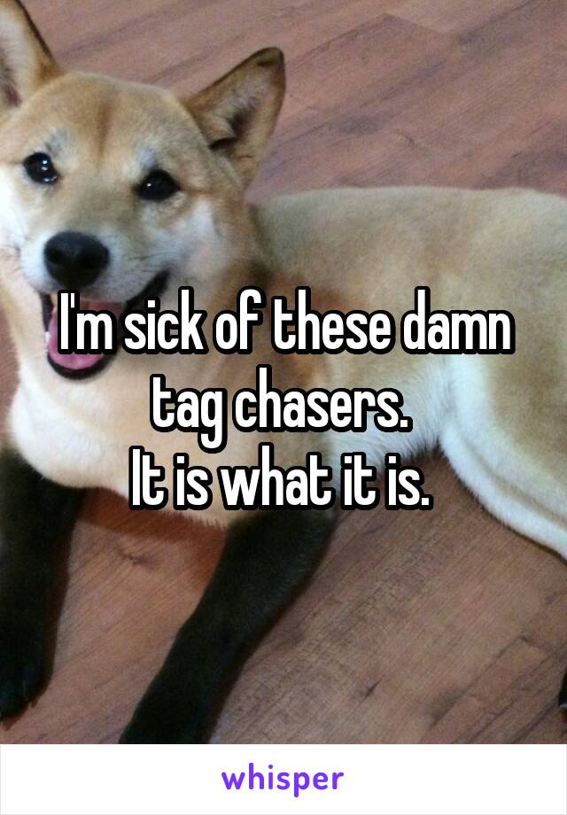 I'm sick of these damn tag chasers. 
It is what it is. 