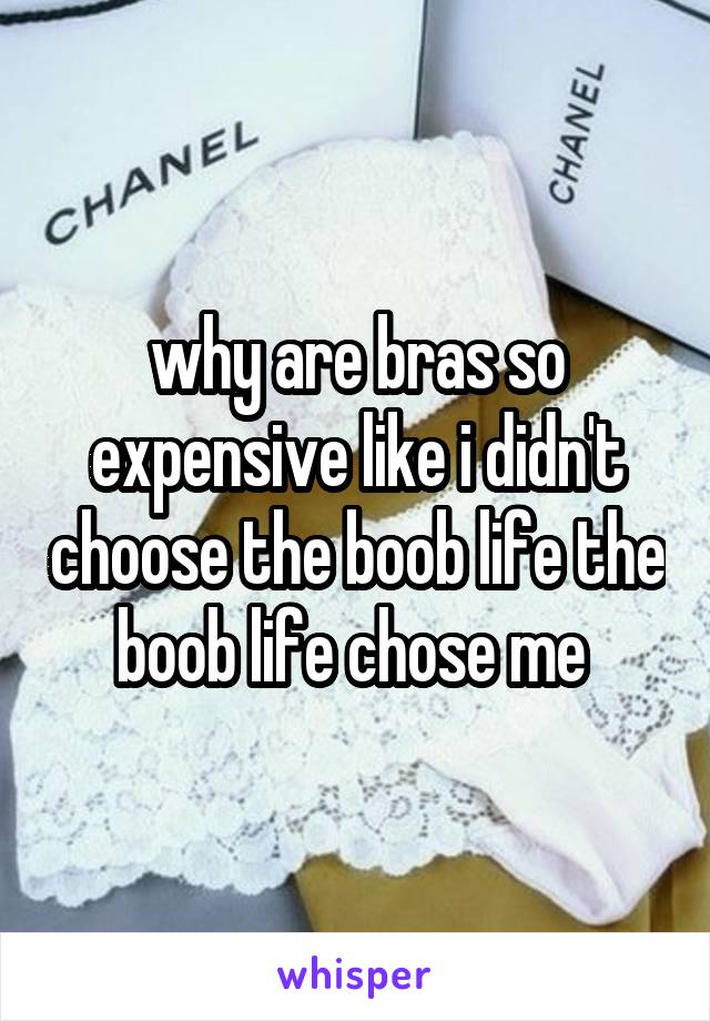 why are bras so expensive like i didn't choose the boob life the boob life chose me 