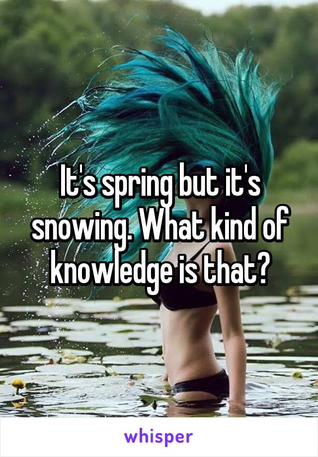 It's spring but it's snowing. What kind of knowledge is that?