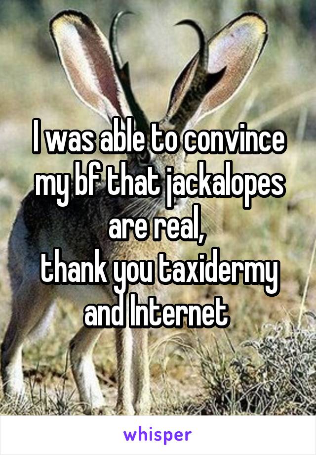 I was able to convince my bf that jackalopes are real, 
thank you taxidermy and Internet 