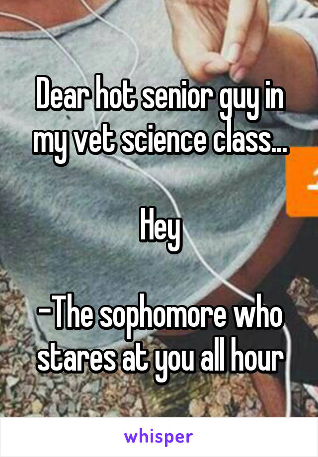 Dear hot senior guy in my vet science class...

Hey

-The sophomore who stares at you all hour