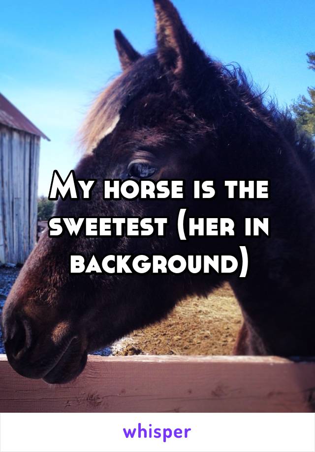 My horse is the sweetest (her in background)