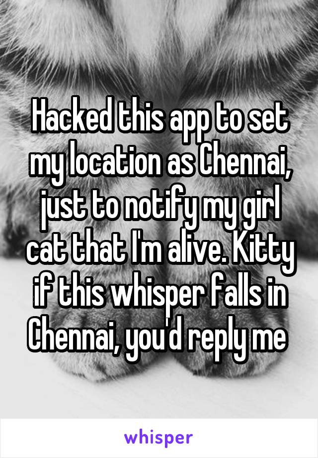 Hacked this app to set my location as Chennai, just to notify my girl cat that I'm alive. Kitty if this whisper falls in Chennai, you'd reply me 