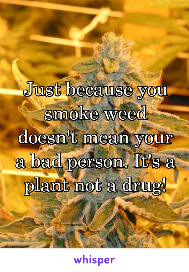 Just because you smoke weed doesn't mean your a bad person. It's a plant not a drug!