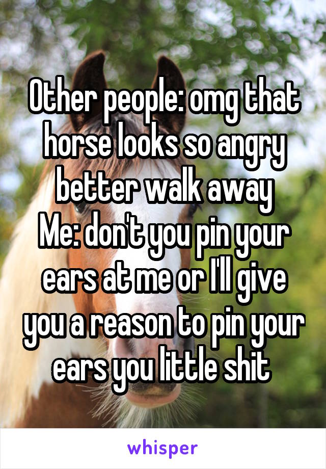 Other people: omg that horse looks so angry better walk away
Me: don't you pin your ears at me or I'll give you a reason to pin your ears you little shit 