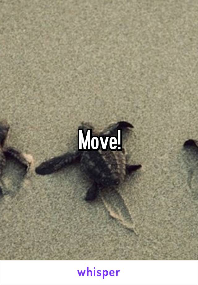 Move!