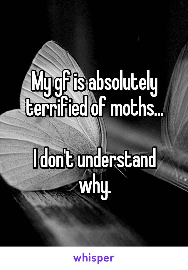 My gf is absolutely terrified of moths...

I don't understand why.