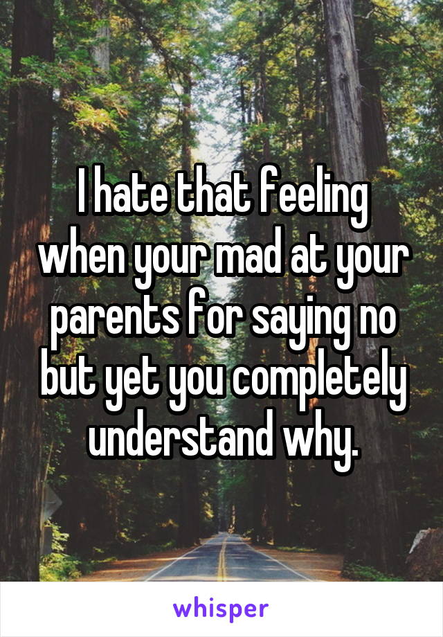 I hate that feeling when your mad at your parents for saying no but yet you completely understand why.