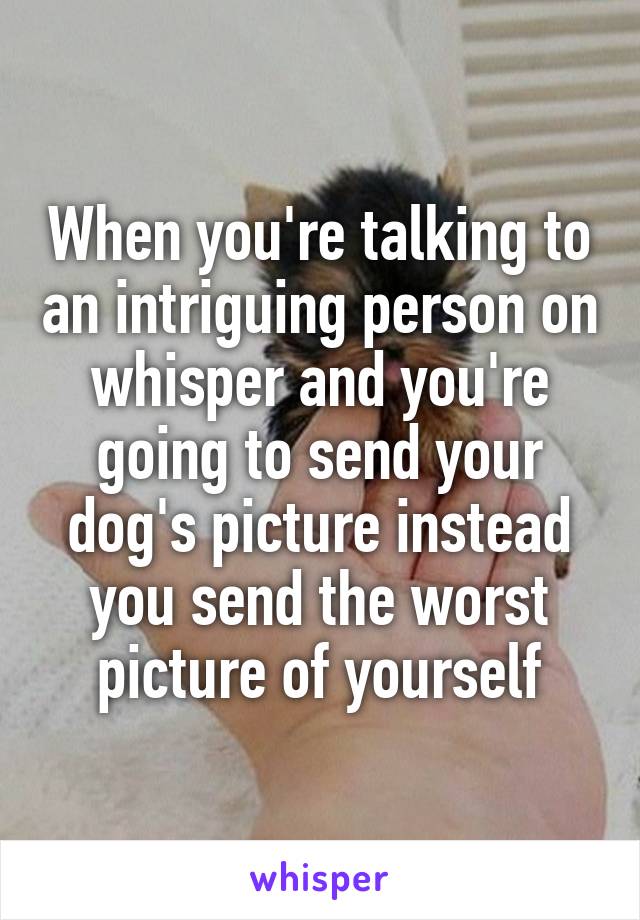 When you're talking to an intriguing person on whisper and you're going to send your dog's picture instead you send the worst picture of yourself