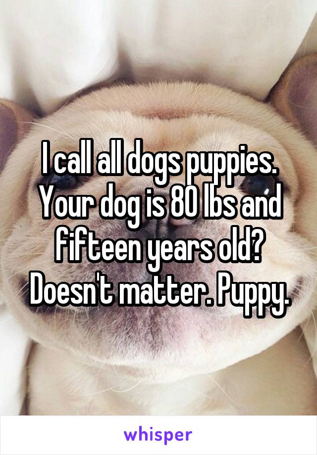 I call all dogs puppies. Your dog is 80 lbs and fifteen years old? Doesn't matter. Puppy.