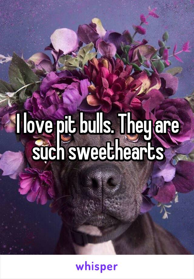 I love pit bulls. They are such sweethearts