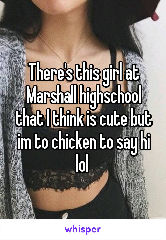 There's this girl at Marshall highschool that I think is cute but im to chicken to say hi lol 