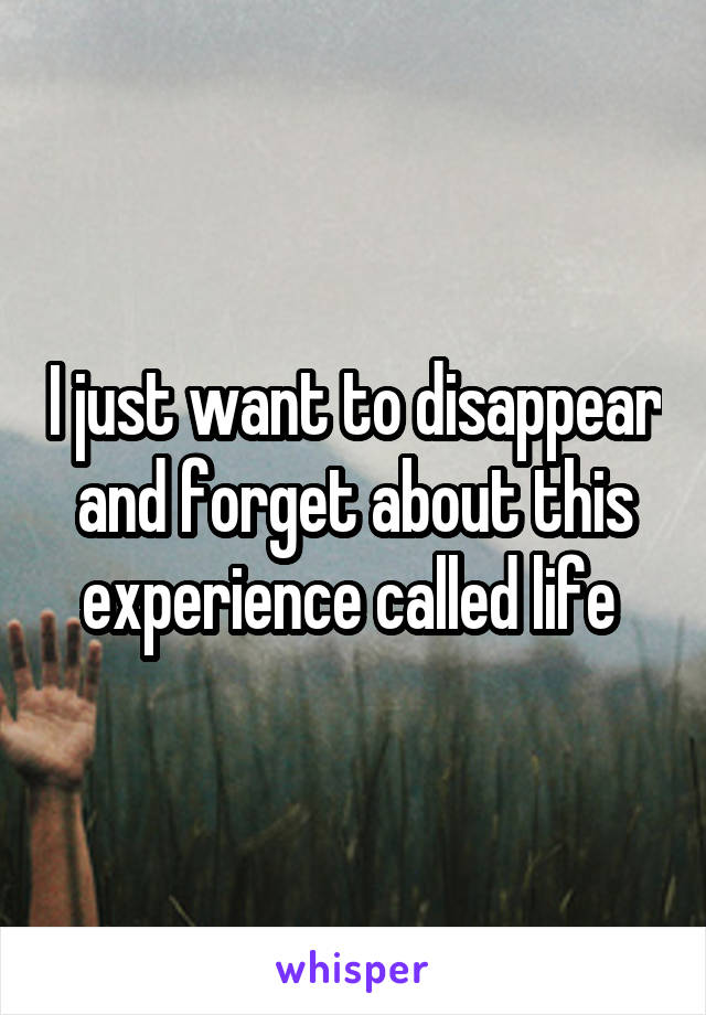 I just want to disappear and forget about this experience called life 