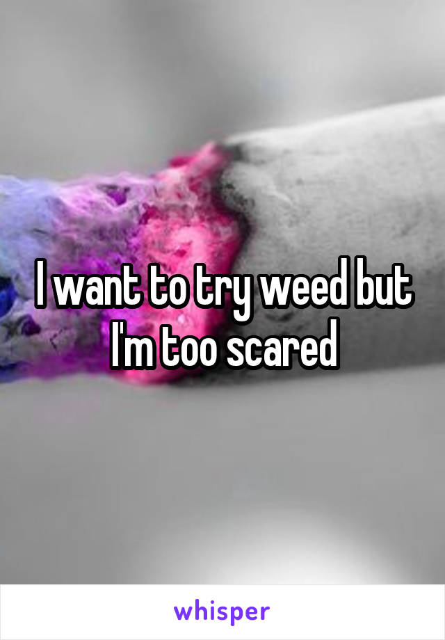 I want to try weed but I'm too scared