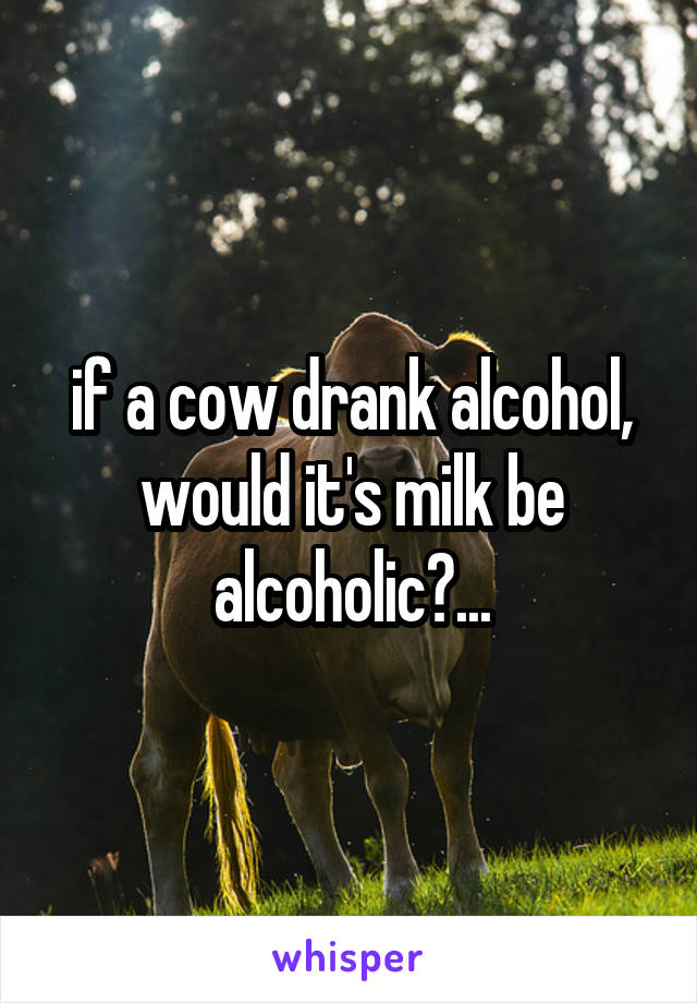 if a cow drank alcohol, would it's milk be alcoholic?...