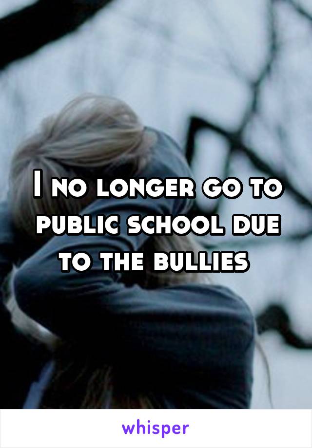 I no longer go to public school due to the bullies 