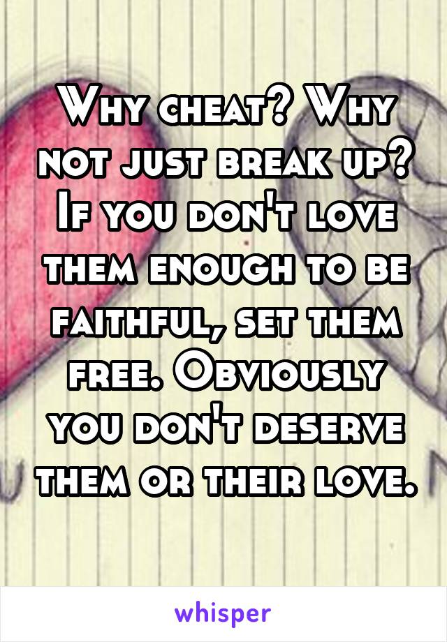 Why cheat? Why not just break up? If you don't love them enough to be faithful, set them free. Obviously you don't deserve them or their love. 