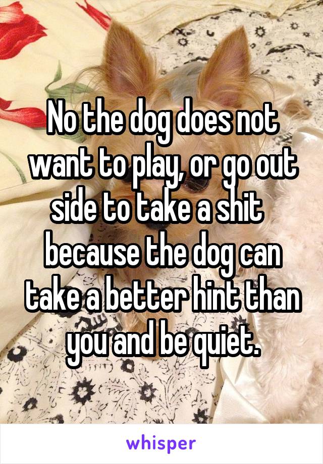 No the dog does not want to play, or go out side to take a shit   because the dog can take a better hint than you and be quiet.