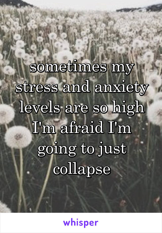 sometimes my stress and anxiety levels are so high I'm afraid I'm going to just collapse