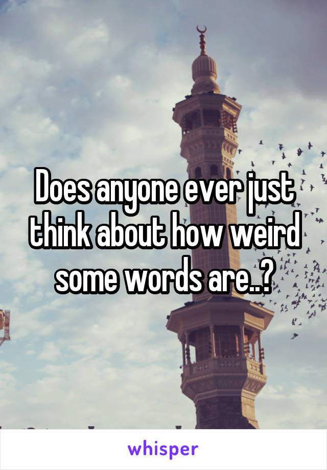 Does anyone ever just think about how weird some words are..?