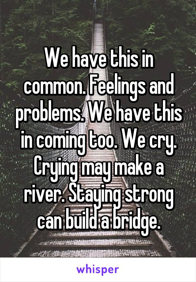 We have this in common. Feelings and problems. We have this in coming too. We cry. Crying may make a river. Staying strong can build a bridge.