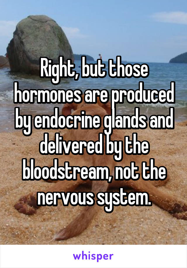 Right, but those hormones are produced by endocrine glands and delivered by the bloodstream, not the nervous system.