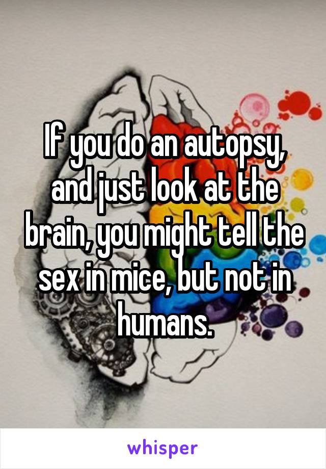 If you do an autopsy, and just look at the brain, you might tell the sex in mice, but not in humans.