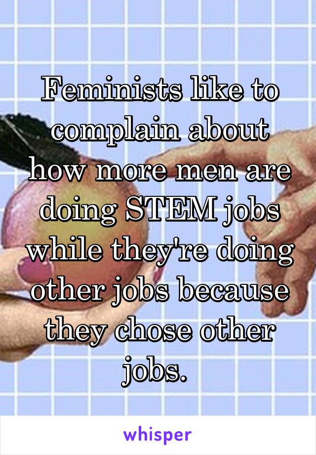 Feminists like to complain about how more men are doing STEM jobs while they're doing other jobs because they chose other jobs. 