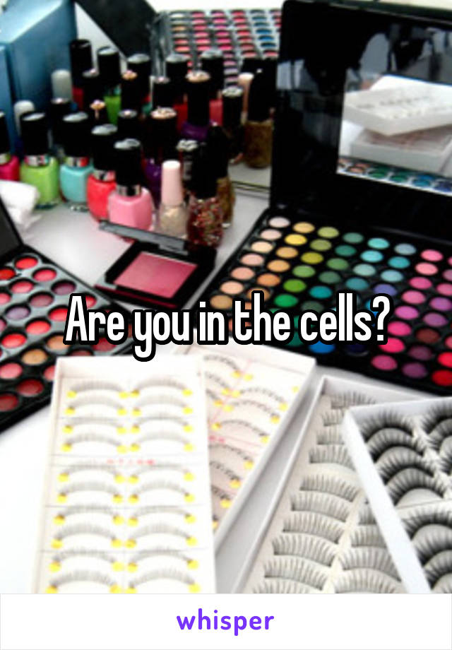 Are you in the cells?