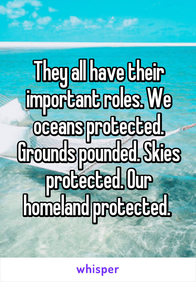 They all have their important roles. We oceans protected. Grounds pounded. Skies protected. Our homeland protected. 