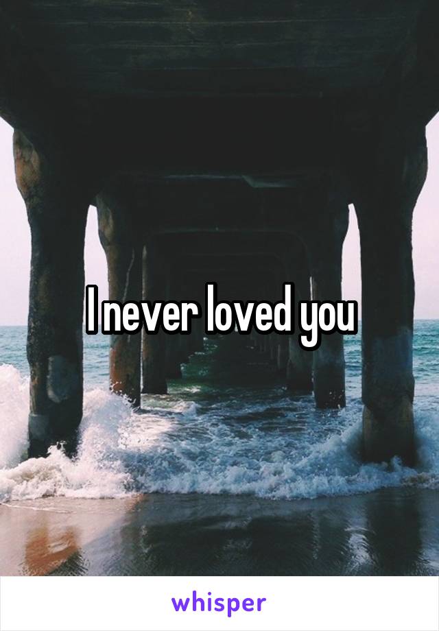 I never loved you