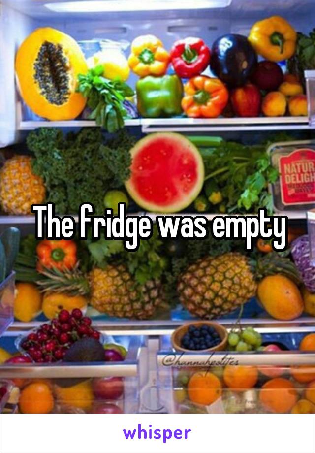 The fridge was empty