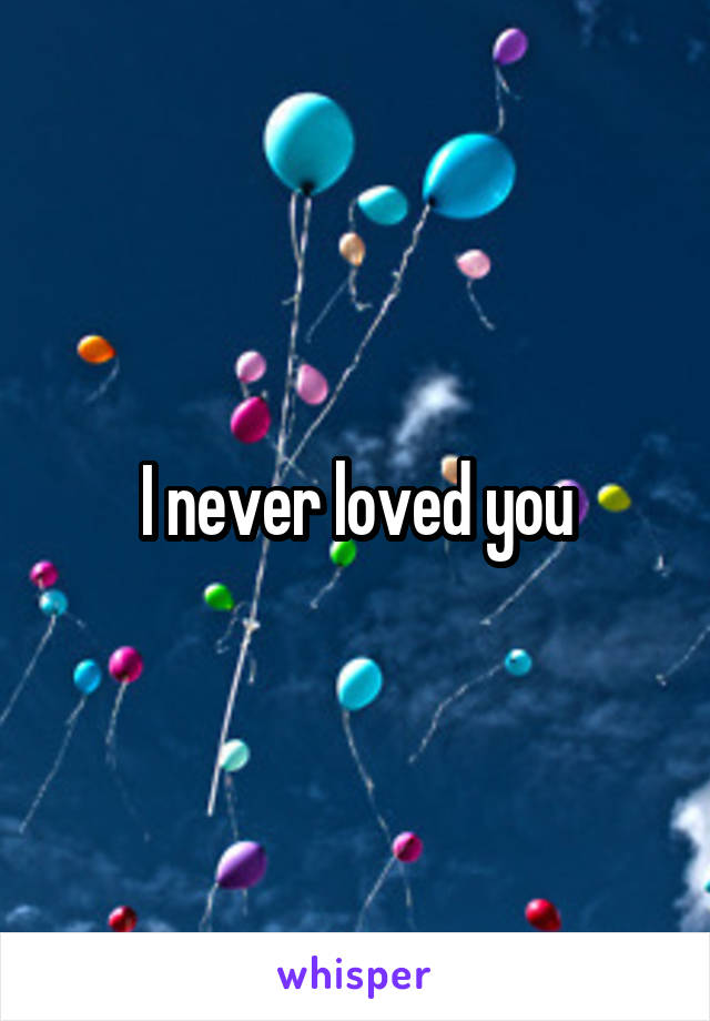 I never loved you