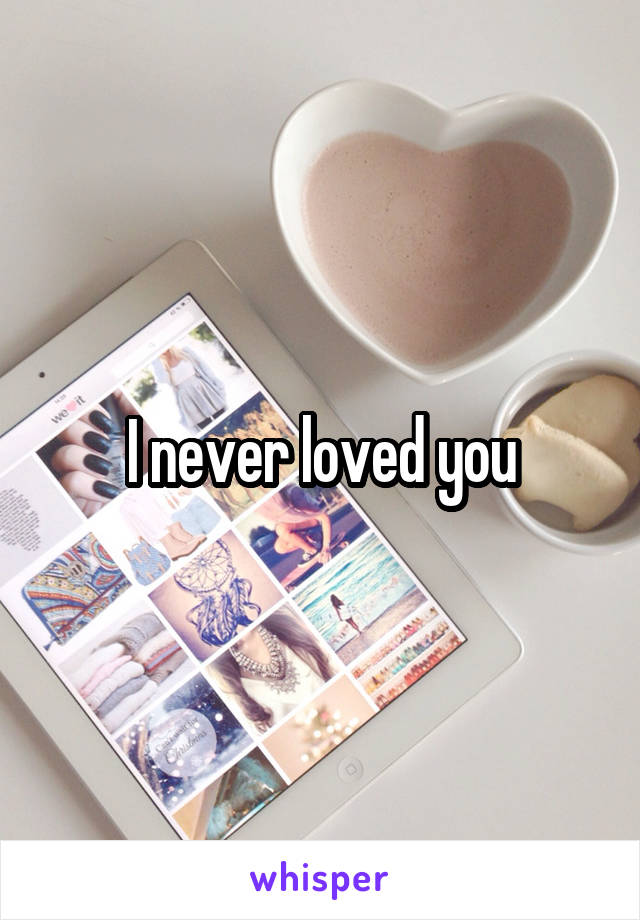 I never loved you